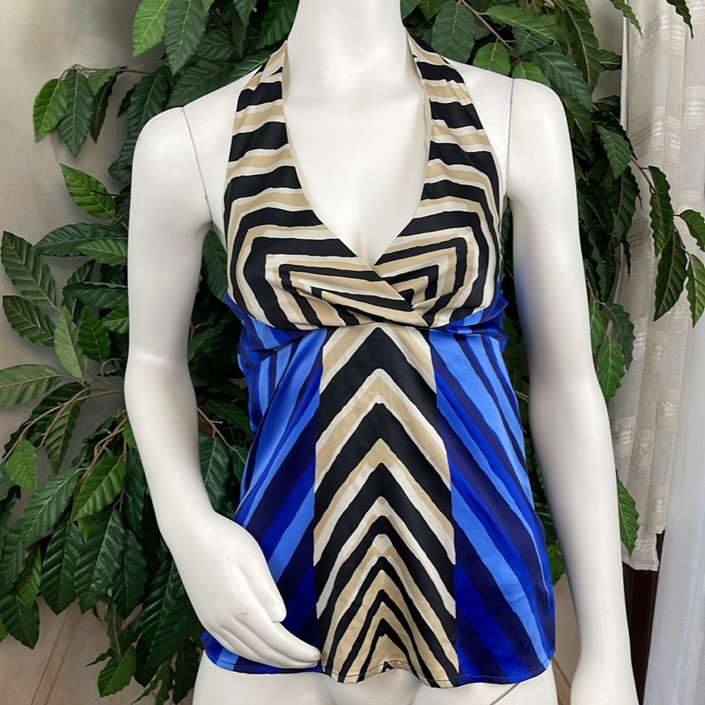 THE LIMITED V-NECK HALTER TOP